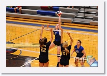 Set 2 * (139 Slides)